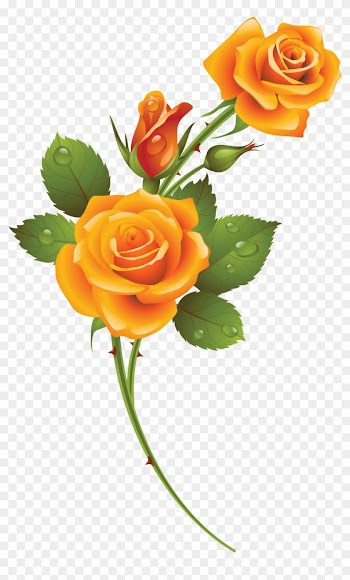 Yellow Rose - Rose