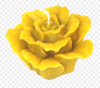 Свеча Из Натурального Пчелиного Воска - Yellow Rose With Transparent Background
