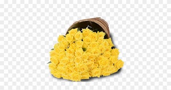 Yellow Roses - Bunch Of 100 Yellow Roses