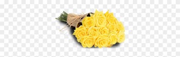 Yellow Roses - Garden Roses