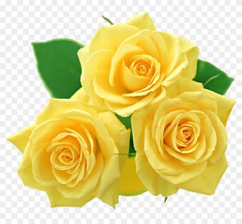 Yellow Roses Png By Melissa - Yellow Roses Png