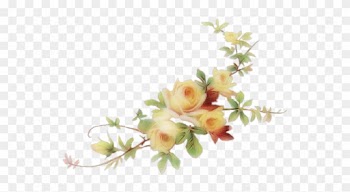 Yellow Roses Vine Png