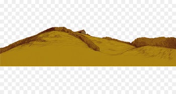 Yellow Soil - barley banner 