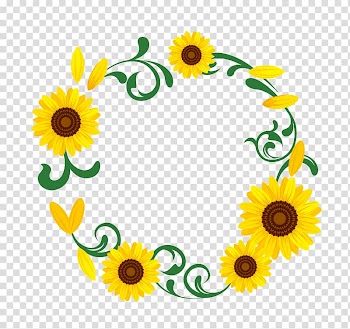 Yellow sunflower flower illustration, Common sunflower Illustration, Sunflower garland transparent background PNG clipart