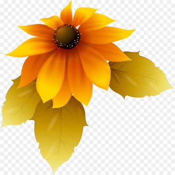 Yellow, Sunflower, Petal, Flower PNG