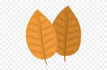 Yellow Tobacco Leaves Illustration - Tobacco Leaf Cartoon Png