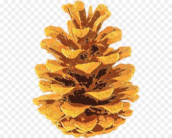 yellow tree plant leaf pine