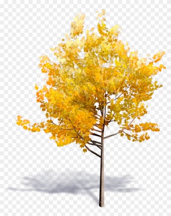 Yellow Tree Png
