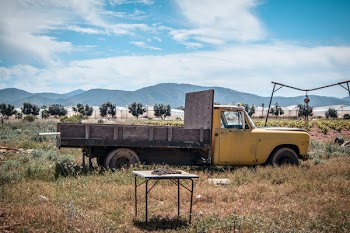 Yellow Truck On Field