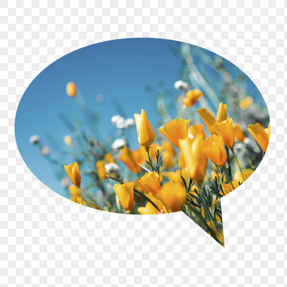 Yellow tulip png field badge | Free PNG - rawpixel