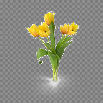Yellow Tulip PNG Free Download