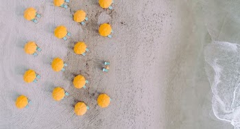 yellow umbrellas on seashore