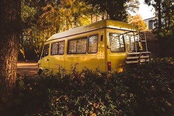 yellow van under the tree
