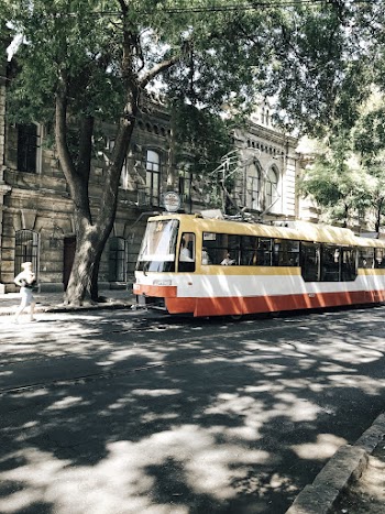 Yellow, White, and Red Bus Parked Beside Tree and Building