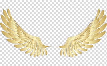 Yellow wings illustration, Wing Gold , Golden wings transparent background PNG clipart