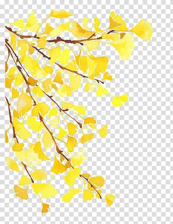 Yellow , yellow flowers border illustration transparent background PNG clipart