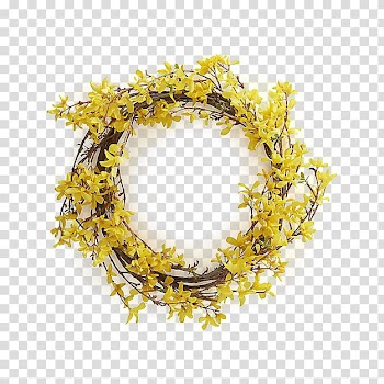 Yellow , yellow Thryallis flower wreath transparent background PNG clipart