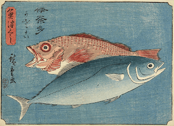 Yellowtail and RockfishOriginal from the Minneapolis | Free Photo - rawpixel