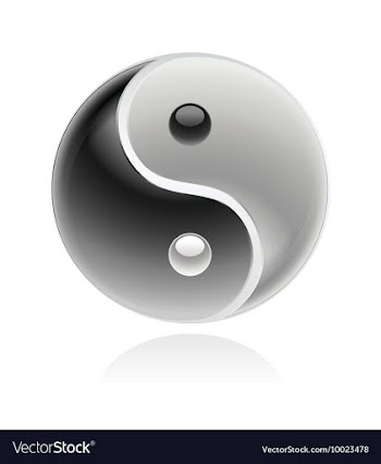 Ying yang symbol vector image
