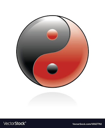 Ying yang symbol vector image