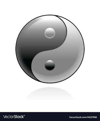 Ying yang symbol vector image