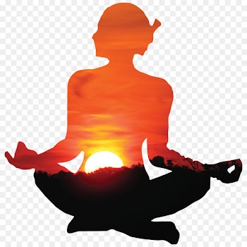 Yoga Sarvangasana Meditation Surya Namaskara - Yoga 