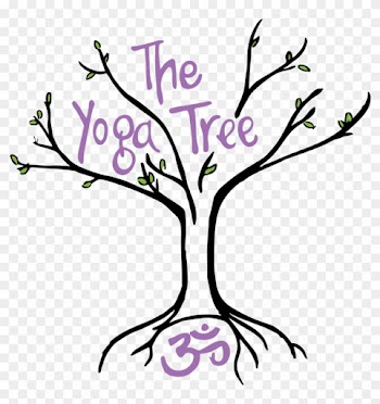 Yoga Tree Haverhill Ma