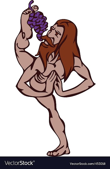 Yogi vector image