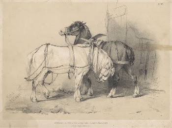 Yoked Horses, No. 32 | Free Photo - rawpixel