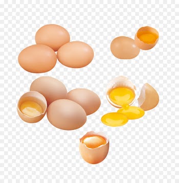Yolk Chicken Eggshell - egg 