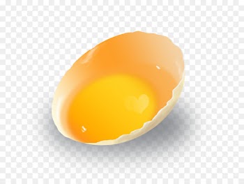 Yolk Egg - Half egg 