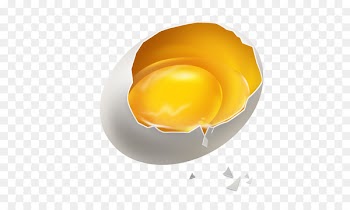 Yolk Eggshell Computer file - Broken egg 