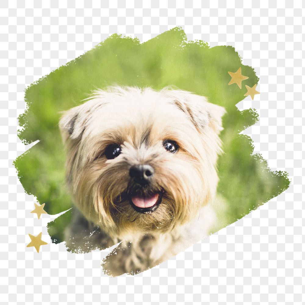 Yorkshire Terrier png, brush stroke | Free PNG - rawpixel