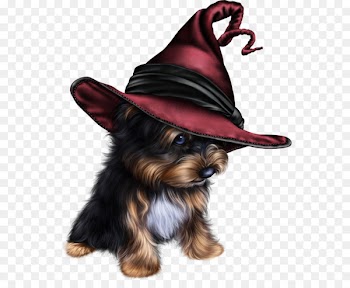 Yorkshire Terrier Puppy Siberian Husky Scottish Terrier Cat - puppy 