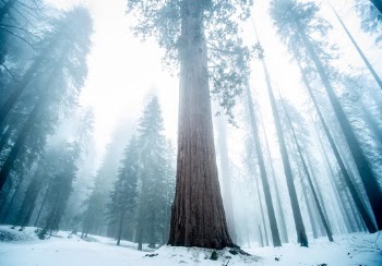 You can almost feel the silence.