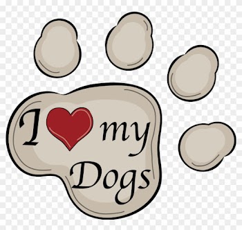You Can Be Sure That My Senior Rescue Hounds, Brutus - Hand Painted Words On Walls