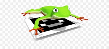 *you Can Check An Interactive 3d Model Here - Green-eyed Tree Frog