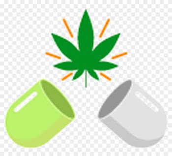 You Have Been Thinking Of Where To Get The Oldest And - Medical Cannabis