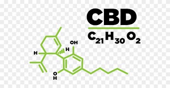 You May Already Have Heard About Cannabidiol In The - Thc Molecule