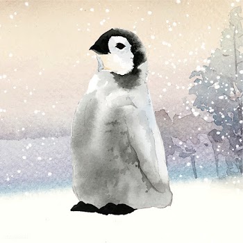 Young emperor penguin in the snow watercolor .. | Free stock vector - 489494