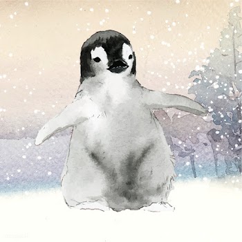 Young emperor penguin in the snow watercolor .. | Free stock vector - 489641
