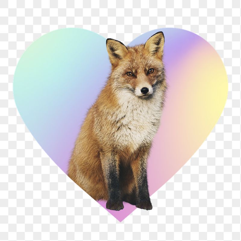 Young fox png, heart badge | Free PNG - rawpixel