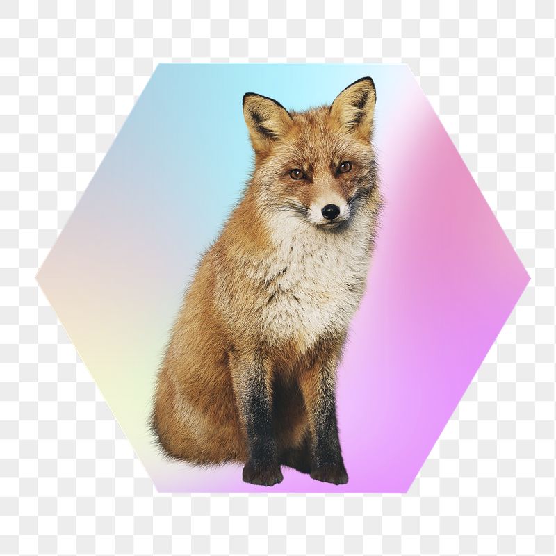 Young fox png, hexagon badge | Free PNG - rawpixel