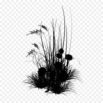 Young Living IMVU Flower Grasses Cell -  
