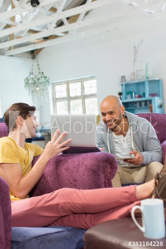 Young male roommates using laptop in living room