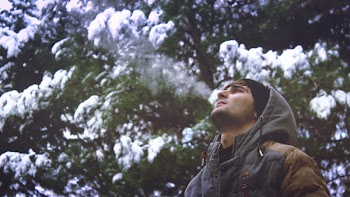 Young Man Looking Up in Forest