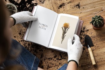 Young woman reading a book | Free Photo - rawpixel