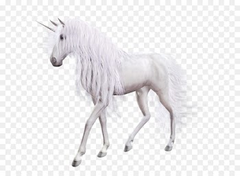 Young Woman with Unicorn Icon Scalable Vector Graphics - Unicorn PNG 