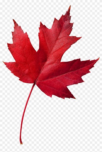Your Business Is Important To Us And We Appreciate - Canada Symbol Maple Leaf