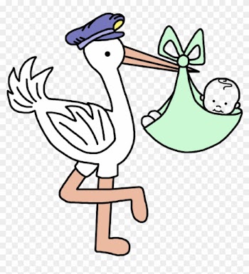 Your Current Selections - Stork Baby Boy